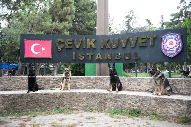 Patili Kahramanlar Görev Başında: Emniyet